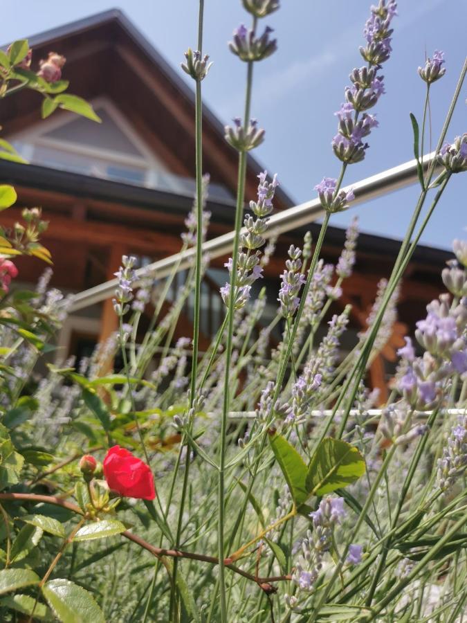 Winzer Suite - Weingut Dietl Riegersburg Exterior foto